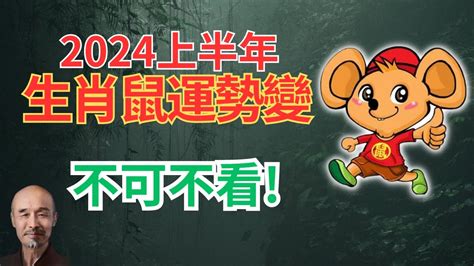 2024鼠年運程1972|1972年属鼠人2024年运势及运程详解 72年出生52岁生肖鼠2024年。